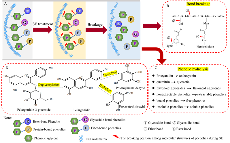 W020220411070353887105.png 永利yl23411